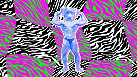 Seamless animation of cartoon style dog head bodybuilder with duotono colors and halftone effect. Stop motion photo montage art collage with zebra psychedelic background.