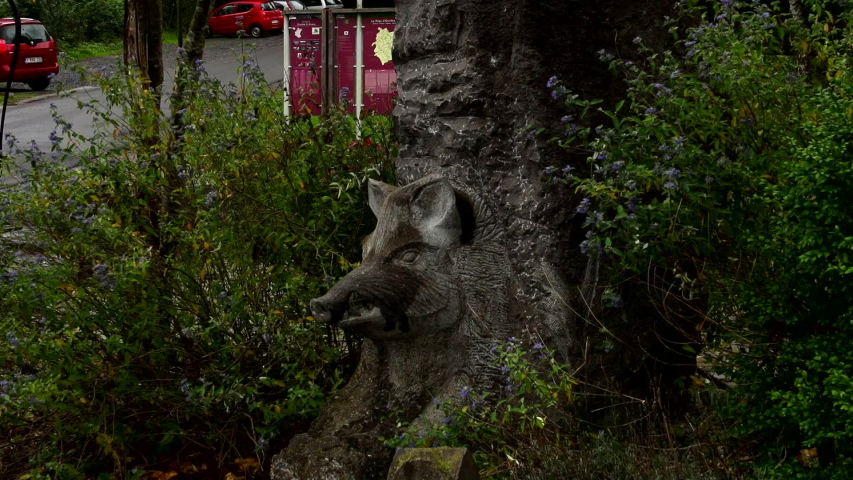 The head of a wild boar carved into the rock