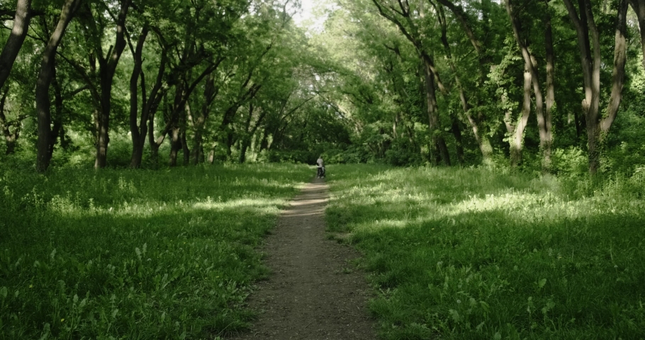 Mother with daughter and a stroller walk through the beautiful tree tunnel in the park. Slow motion. 4k footage