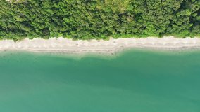 Aerial footage of beach, sea and wild coastal forest 