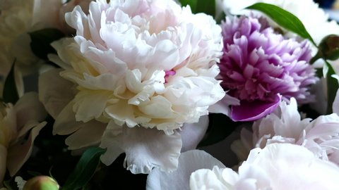 Vintage Flowers Peonies Tulips Lily Hydrangea Stock Photo (Edit Now ...