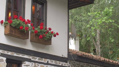 Old house with beautiful red flowers