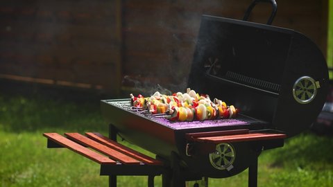 Colorful and tasty grilled shashliks on outdoor summer barbecue. Garden party idea