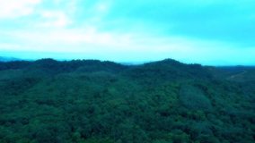 moving aeriel view of tropical rainforest with beautiful sky