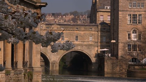 Pulteney Bridge framed by blossom tree in the historic Roman city of Bath Spa in England