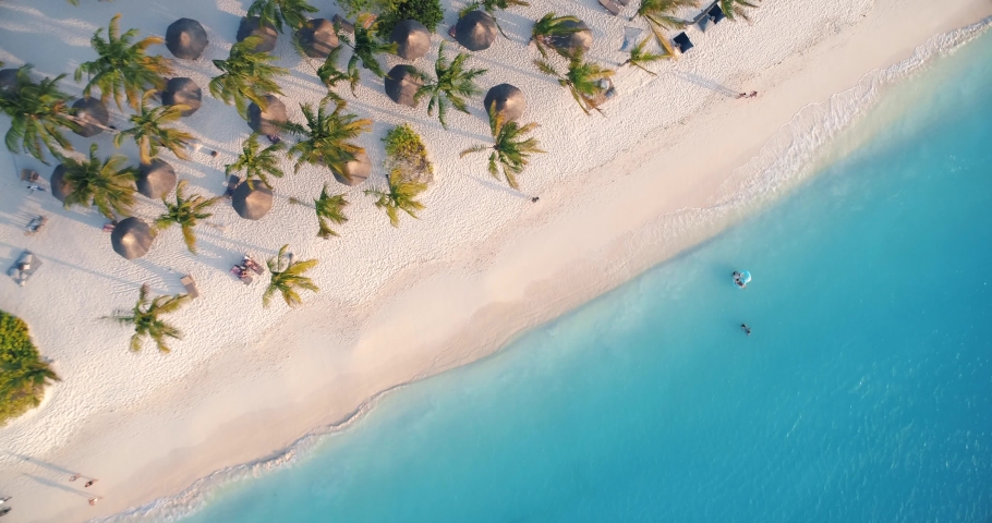 Aerial view of sea waves, umbrellas, green palms on the sandy beach at sunset. Summer in Zanzibar, Africa. Tropical landscape with palm trees, people, parasols, sand, blue water. Top view from air | Shutterstock HD Video #1030914143