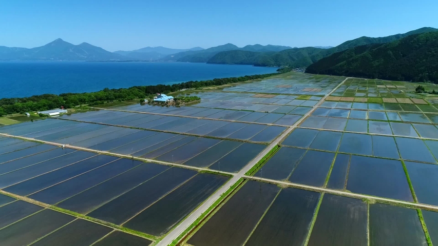 Aerial Shot of Mt. Bandai & Paddy Field at Lake Inawashiro Fukushima
 | Shutterstock HD Video #1030920419