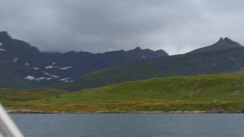 Filmed from boat. Footage of Beautiful Norway Landscape with summer and sea!