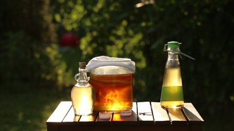 Jar with kombucha( Manchurian mushroom) tea drink, tea mushroom and bottles, woman hand pouring filtered kombucha in glass. Sunny evening in garden. Natural probiotics concept.