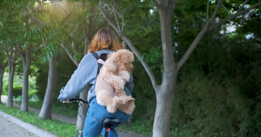 Dog really like to travel in a animal carrying backpack .