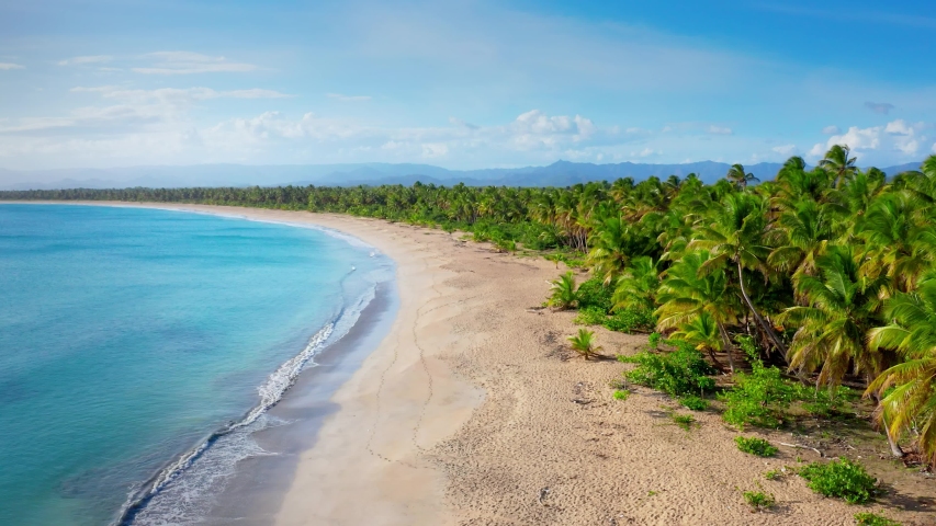 Coastline Landscape in the Dominican Republic image - Free stock photo ...