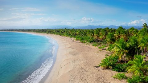 Top view Dominican Republic Punta Cana beach. Blue sea and sky, palm trees and sand. Summer sea vacation. Top view azure sea and sand beach. Amazing tropical island beach. Best wild beach landscape