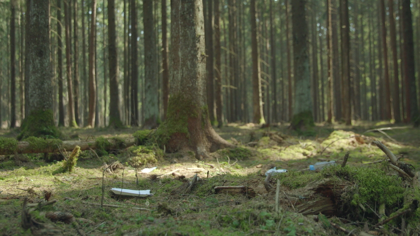 Young Woman Collecting Garbage And Plastic In The Forrest On A Sunny Day