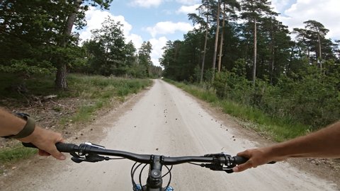 Slow cycling on dirt road in green pine forest, riding a bike. View from first person perspective POV. 4K gimbal stabilized video, Gopro Hero 7 black.