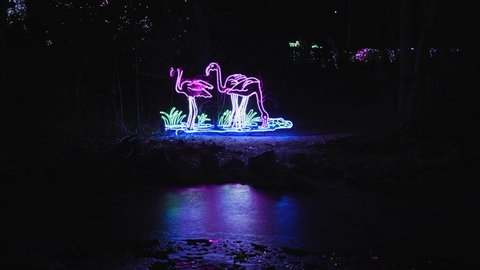 denver, CO / United States - 12 07 2018: Flamingo Christmas Light display at Denver Zoo Lights