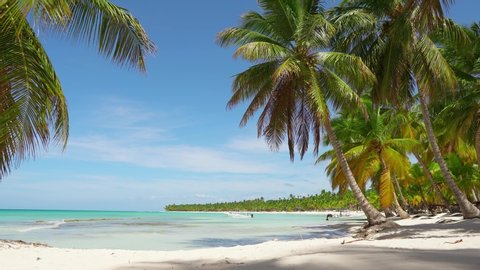 Palms beach vacation Dominican Republic. Blue lagoon white sands, palm trees and Caribbean sea. Punta Cana summer resort. Palms island beach in Atlantic ocean