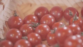 Close up footage of cherry tomatoes. Selective focus. Panning to the right.