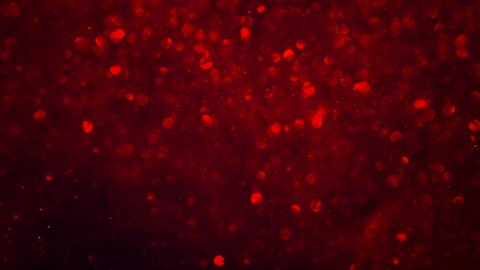 Abstract dark crimson red sparkly particle background with shiny bokeh lights LOOP.