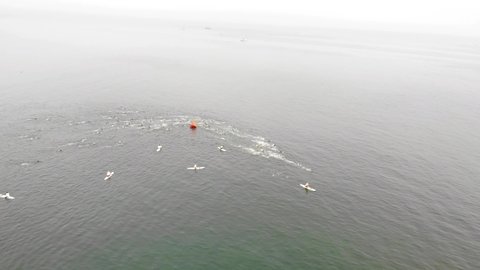 People swimming in the ocean in a race