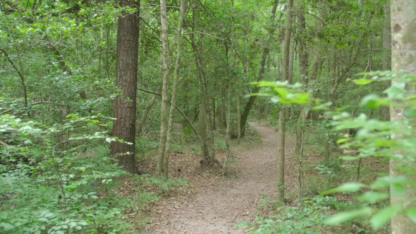 foot path hiking trail raven rock Stock Footage Video (100% Royalty ...