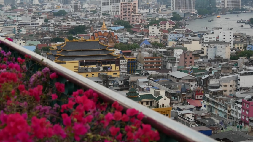 Shutterstock video thumbnail