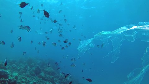 Slow motion, Plastic pollution - A piece of plastic bag slowly drifts in blue water, gradually collapsing and turns into microplastics. Plastic bag with school of tropical fish swims in the blue water
