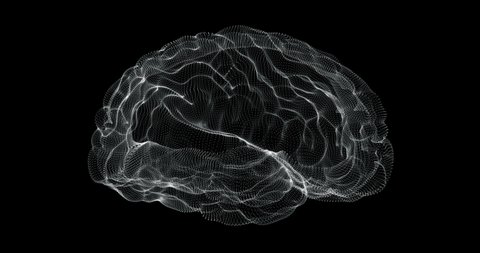 Hologram representation screen 3d of brain in the human body - loop