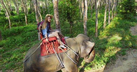 Couple tourist riding elephant on tour in lush green forest in Thailand Asia. Shot on Red, hand held slow motion. 