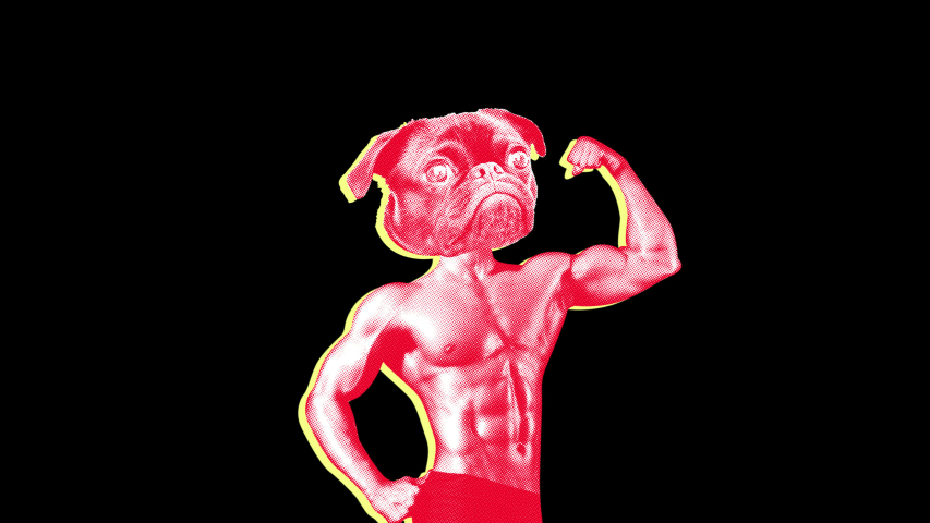 Seamless young animation of cartoon style dog head bodybuilder with duotono colors and halftone effect. Stop motion photo montage art collage isolated with alpha channel. Royalty-Free Stock Footage #1031075996