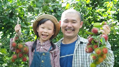Little asian girl with her dad happy to showing rambutan fruits ,organic product from her garden.Slow motion.