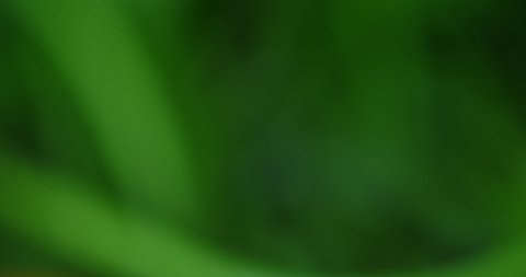 blurred green multicolored soft gradient background.