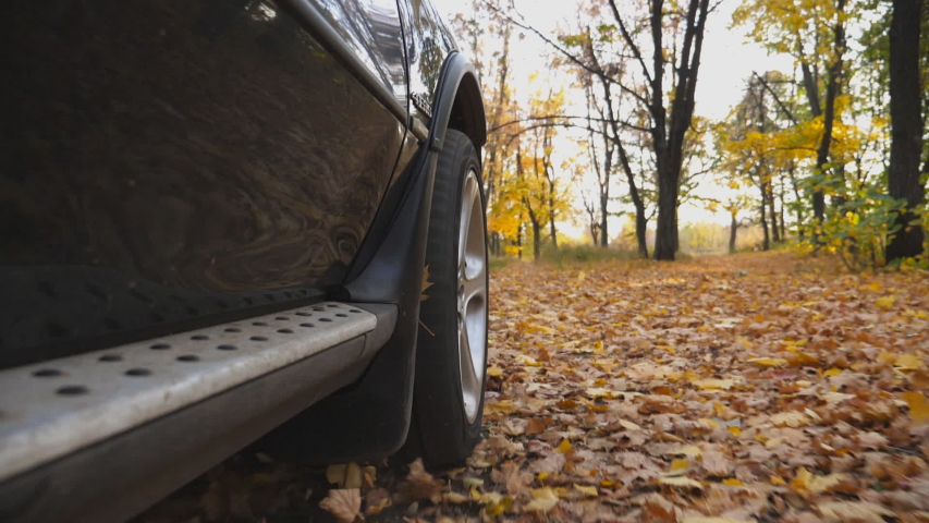 View from front wheel of black car driving on park road over yellow leaves at sunny day. Colorful autumn foliage flies out under automobile. Powerful SUV passing through empty alley. Slow motion