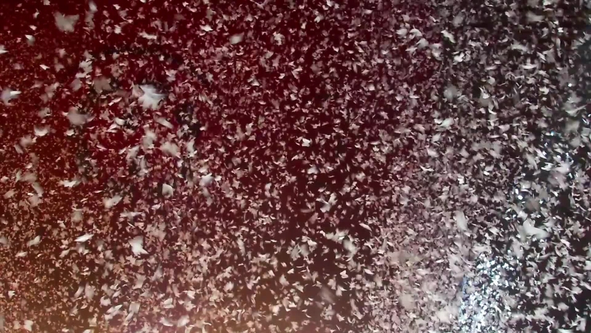 White confetti floating in the air during a concert | Shutterstock HD Video #1031108990
