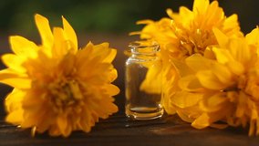 Essence of coneflowers flowers on table in beautiful glass Bottle
