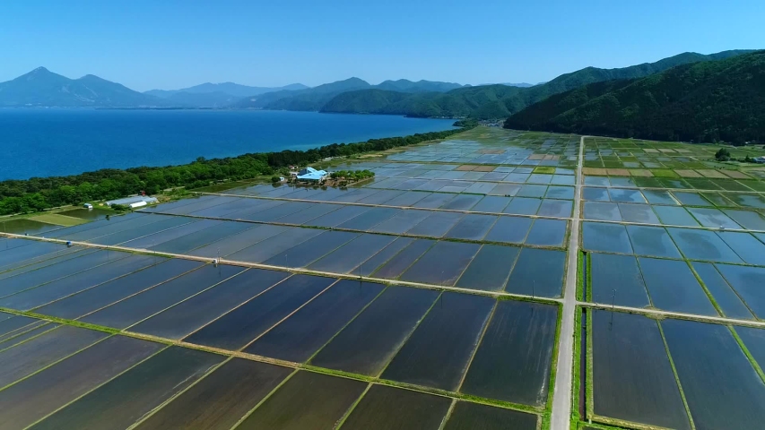 Aerial Shot of Paddy Field & Mt.Bandai at Lake Inawashiro Fukushima | Shutterstock HD Video #1031150093