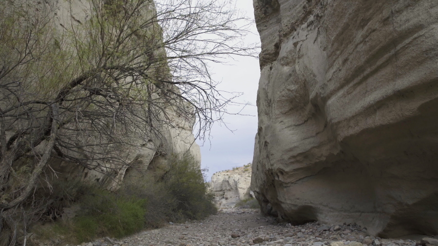 Low angle push in dolly shot in a high narrow canyon, passing under tree