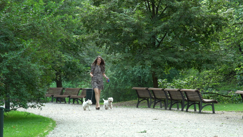 woman have a walk with two little white doggies in park. Static shot
