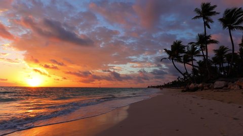 Seascape of beautiful tropical beach with palm tree at sunrise. Summer caribbean vacation in Dominican Republic