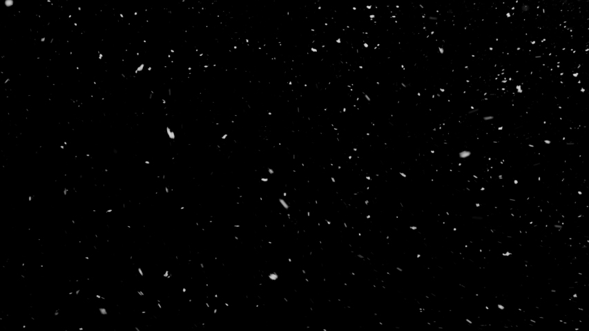 Real Snow, falling snow isolated on black background in 4K to be used for composing, motion graphics, Large and small snow snowflakes, Isolated falling snow, Alpha, Ethereal, Intense, Storm | Shutterstock HD Video #1031175320