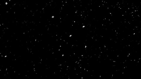 Real Snow, falling snow isolated on black background in 4K to be used for composing, Slow Motion, Large and small snow snowflakes, Isolated falling snow, Alpha, Ethereal, Intense, Storm