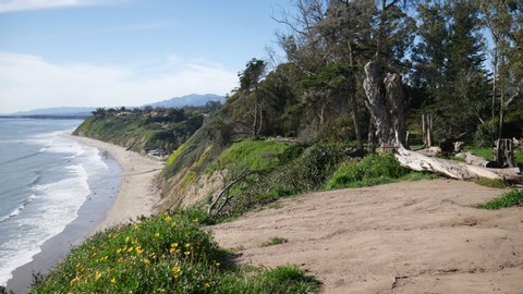 A strong man jogging and exercising on a nature trail on the edge of an ocean cliff with epic views of the beach and California coastline in Santa Barbara.