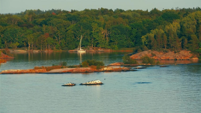 Drone dolly right of an aerial view of a lagoon complete with wooded hills, beached ship, and seabirds in the foreground. A cineflex gyrostabilized shot of