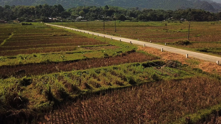 Motorcycle riding through fields in Hanoi, Vietnam. Aerial Pan