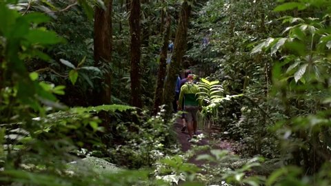 Adventure men hiking wilderness mountain with backpack, outdoor lifestyle in forest jungle Monteverde, Costa Rica. 