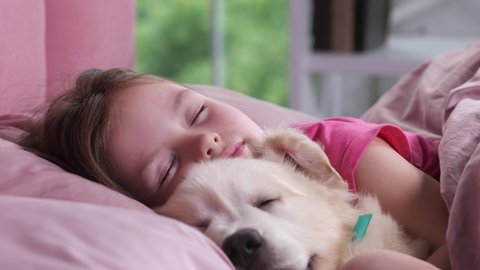Close-up portrait of adorable preadolescent girl calmly sleeping with sweet golden retriever pet in bedroom. Cute elementary age child resting on cozy bedding in nursery hugging fluffy friend