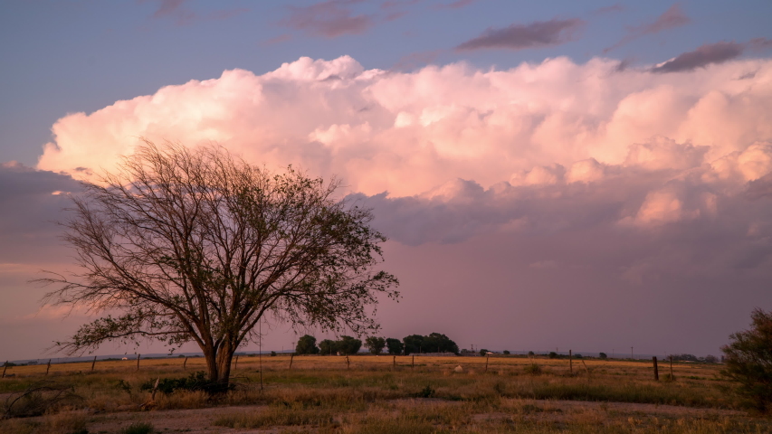 Time lapse of storm clouds fading into the distance at sunset with single tree silhouetted against the sky.