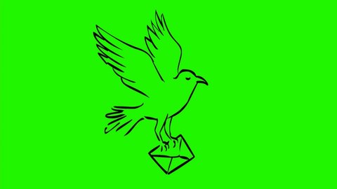 2d Animation motion graphics drawing of a bird carrying letter  envelope or delivering mail on white and green screen with alpha matte in HD high definition.