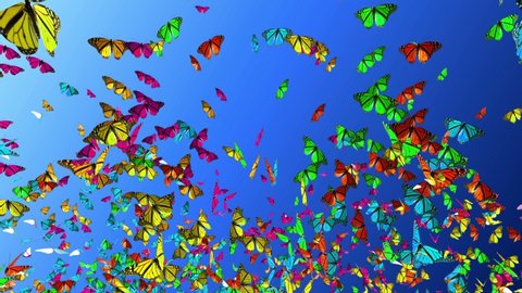 Amazing Millions Of colorful Butterfly flying over summer sky isolated, Lovely butterfly in 4K, perfect for nature video clip