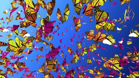 Amazing  Millions Of Butterfly, Butterflies Flying on summer blue sky Background. Beautiful 3d animation of colorful butterfly isolated.