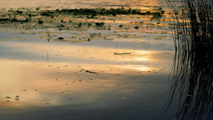 landscape at sunset/sunrise by the lake